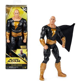 FIGURA 12"
